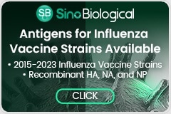 Antigens for Influenza Vaccine Strains Available