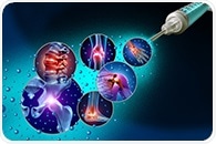 Fast-tracking the development of biotherapeutics