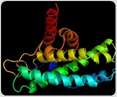 Researchers use Nobel prize-winning technology to zoom in and see vital kidney protein