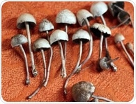 Magic mushrooms substance Psilocybin on trial for treatment of depression