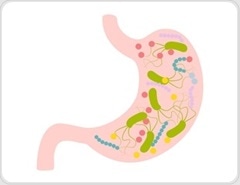 Risk Factors for Small Intestinal Bacterial Overgrowth