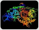 RNAi Mechanism