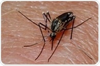 Study highlights new long-acting approach for prevention of malaria