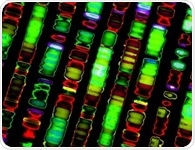 Researchers sequence human genome using pocket-sized device