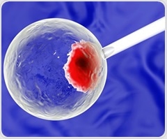 Researchers discover gene network that regulates the motor neuron development in growing embryo
