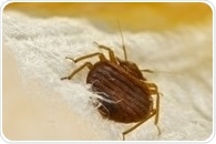 Histamine levels substantially higher in homes infested by bed bugs, study shows