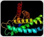 Researchers reveal molecular structure of 'anti-aging' protein