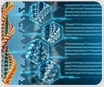 EPFL researchers uncover how the circadian clock regulates 3D chromatin structure