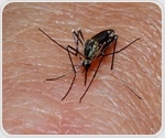 Genetic mutation that may protect people from malaria found to be more common