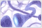 Study defines molecular basis to explain connection between mother’s nutrition and infant growth