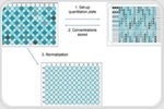 Simplified DNA Quantification and Normalization