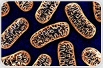 New study aims to develop nucleoside therapy as treatment for mitochondrial depletion syndromes