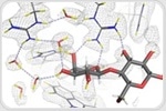 Scientists define key binding characteristics of protein associated with heart disease and breast cancer