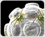 Researchers discover a 'blind spot' in atomic force microscopy