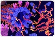 Antibody Research and Alzheimer’s Disease