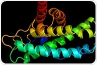 RNAs are involved in protein aggregation and neurodegenerative diseases, research reveals