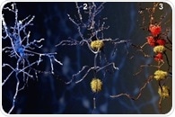 New chemical synthesis strategy leads to identification of novel, simpler derivatives