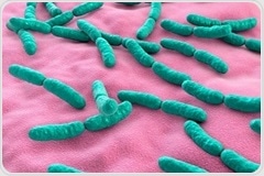 Gut bacteria linked to metabolic changes and autism in new study