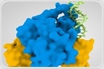 Regulatory Mechanisms Involved in Gene Expression