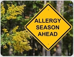 Autism Spectrum Disorder & Allergies