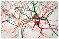 Newly discovered mechanism sheds light on how Parkinson’s disease can spread in the brain