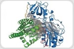 Study Reveals Crystal Structure of Enzyme Responsible for Biosynthesis of CO