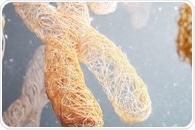 Scientists successfully create age-resistant mice with hyper-long telomeres