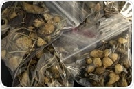 What is Psychedelic Microdosing?