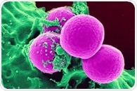 High bacterial levels in half of lupus skin rashes