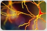 What are the Types of Neuroinflammation?