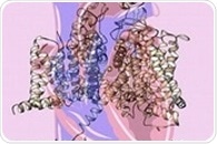 Discovery of molecular origins of a heart beat