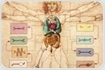 Human organ chips for better drug development