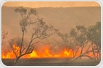 Will Australian Wildfires Affect Climate Change?