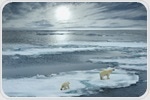 The Ecological Impact of Climate Change on Polar Bears