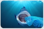 Investigating the Impact of Ocean Microbial Life Attracted by Plastic Waste
