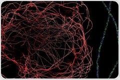 Expert genomics panel disputes certain genes linked to a dangerous heart condition