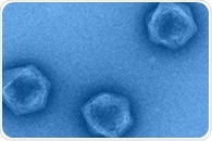 Giant viruses may possess the tools of metabolism in their genome