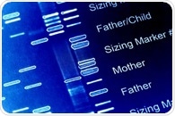 Study: Genetics of AQP4 water channels impact the intensity of deep sleep