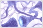 Autoimmunity Plays A Role In Parkinson's Disease
