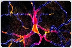 Where Does Parkinson’s Disease Originate?