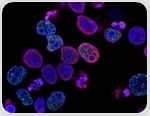 Novel fungal compound can turn on p53 gene in cancer cells