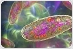 Study shows that Bubonic Plague had a long-term impact on immune gene expression