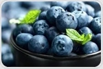 Protein found in cow's milk could increase absorption of blueberries' nutrients