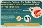 Study shows how epigenetic factors modulate the risk of type 1 diabetes