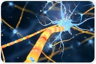Study reveals key molecule involved in myelin repair