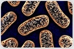 Study identifies a signaling protein that controls the assembly of mitochondria