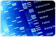 Genetic biomarker test predicts how men with high-risk prostate cancer will respond to treatment