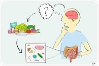Microbiome differences in autism reflect dietary preferences, says study