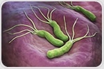 Finding better treatments to eradicate infection caused by H. pylori bacterium