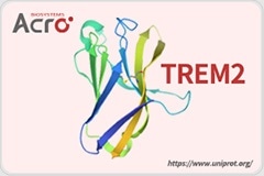 TREM2, a diagnostic and therapeutic target for Alzheimer's disease